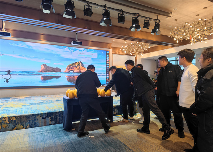 1742372238764285.jpg 12.jpg