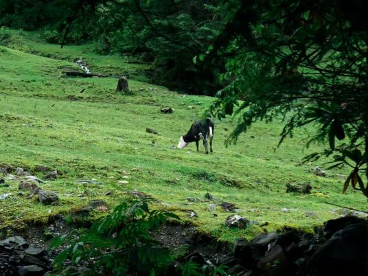 1745896104839124.jpg 8.jpg